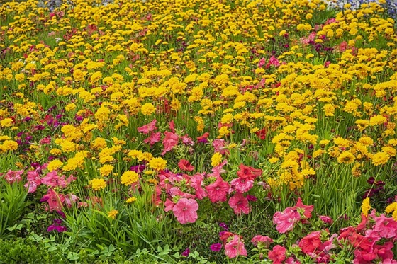 qq网名带nin字的