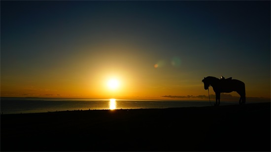 小课题结题报告