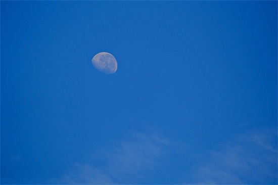 带别疙的网名昵称