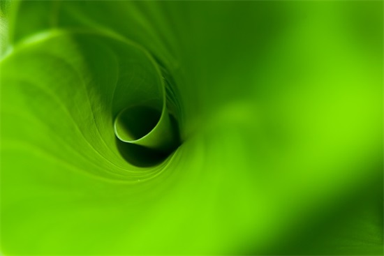 带摈尽的网名昵称