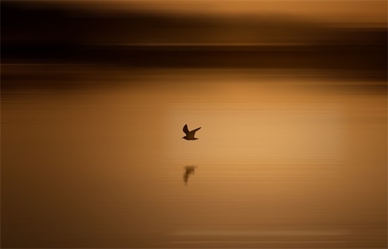 带生字的渣男网名
