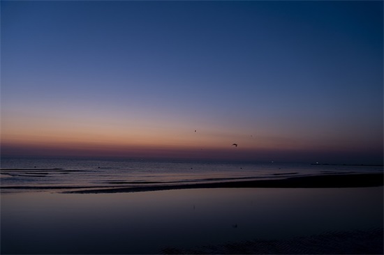 带象字的谐音梗网名