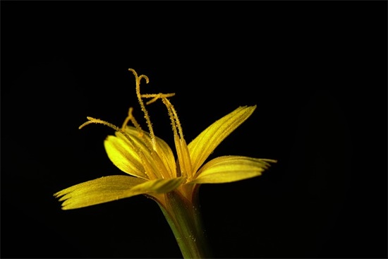 带别单的网名昵称