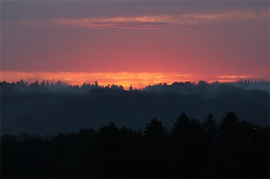 带寂寂夜的网名