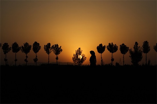 带木带水的四字网名