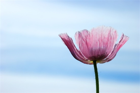 有关心情的男生网名(共273个)