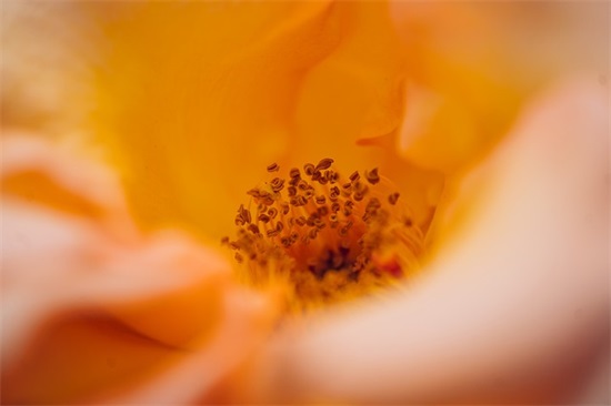 御剑情缘游戏名字大全霸气(精选287个)