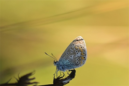老师对学生新年寄语简短-57句