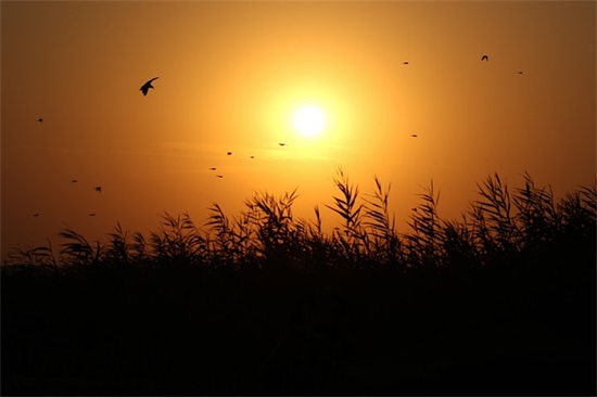 写给儿子的成人礼寄语 【写给儿子的成人礼寄语毕业生】