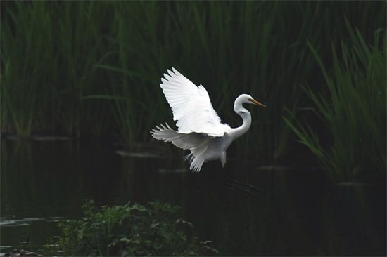给毕业班学生的寄语 【给毕业班学生的寄语短的初中】