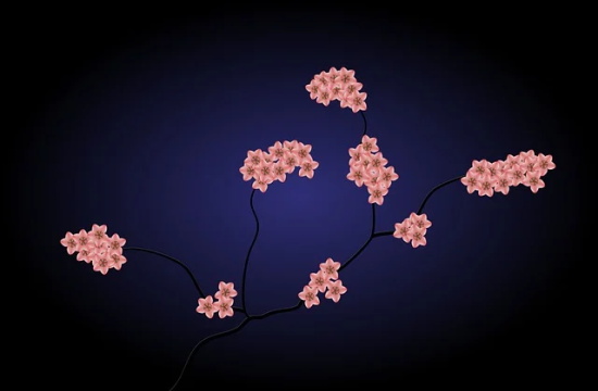 坚持不下去奋斗的句子