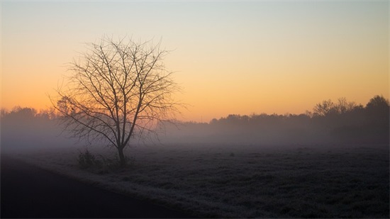 恐惧的句子77句