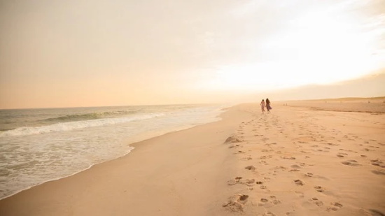 赞美春天的优美句子 描写春天的句子