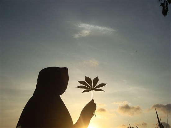 关于人生艰苦的好句子 关于人生感悟的句子