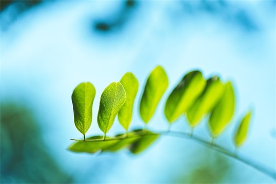 家长寄语怎么开头 【家长寄浯怎样写】