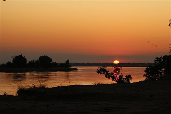 爸妈对一年级孩子的寄语和期望 【爸妈对一年级小学生的寄语】