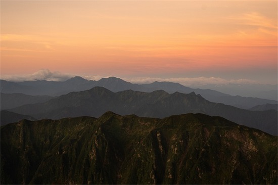 形容桃花的句子