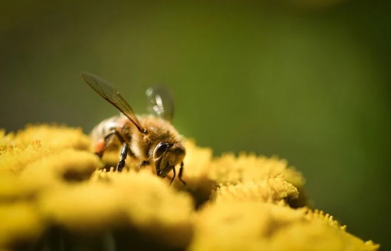 描写水的句子88句