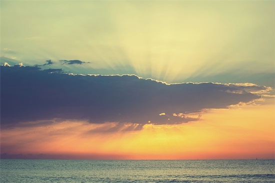 祝情人节快乐的句子 祝老师情人节快乐的句子