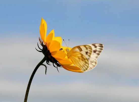 心碎到撕心裂肺的长句子64句