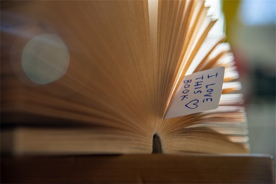 爱的句子 爱情的句子