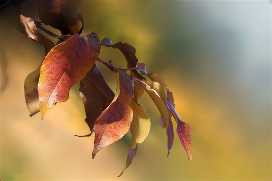 关于同事情谊的句子 同事之间友谊感言短句