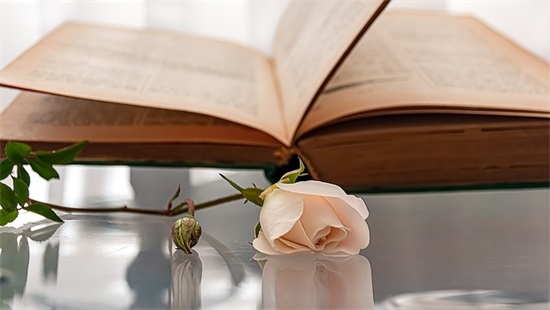 好听的店名招财300个