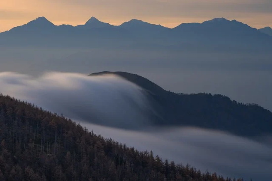 家长感谢幼儿园老师的寄语 【感谢家长幼儿园老师的话】