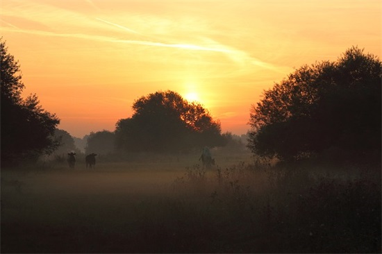 十七岁生日寄语 【女孩十七岁生日寄语】