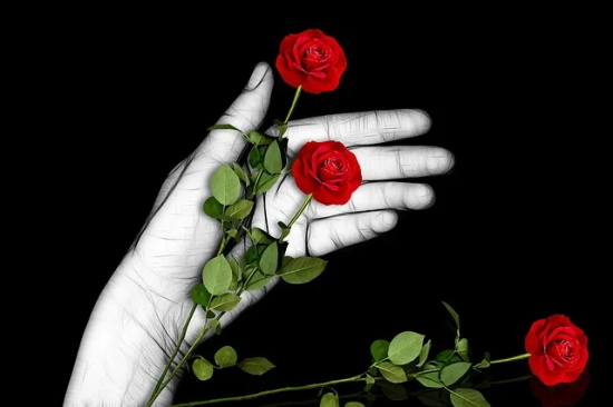 写给妹妹9岁生日的寄语 【写给妹妹生日的话】