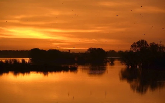 描写拥抱的优秀句子