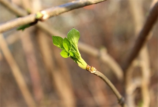 纪念九一八事变励志句子