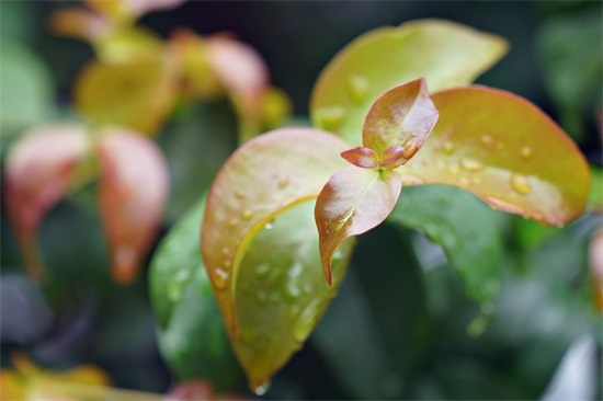 对兄弟失望的句子97句