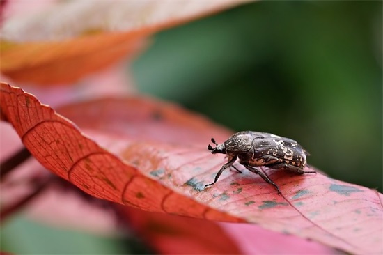 老师送给幼儿寄语怎么写-52句