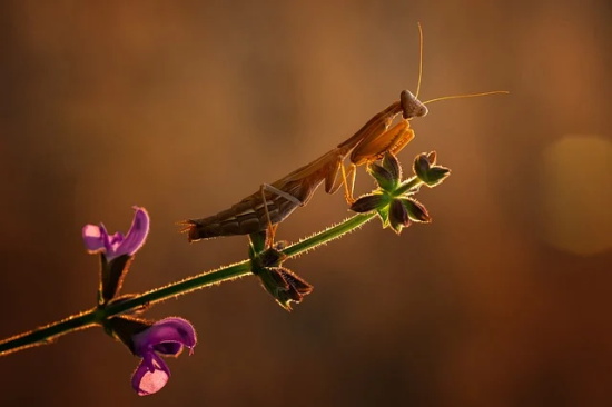 寄语大全之校长对高三学生寄语-64句