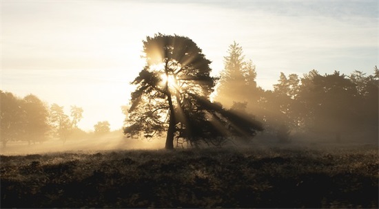 父母寄语送给幼儿园毕业孩子-60句