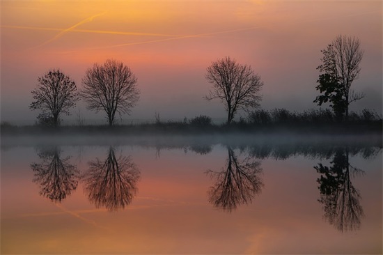 父母寄语读书-52句