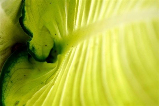 男士生日寄语-58句