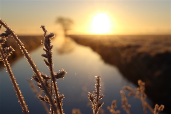 内心平静的禅语 内心平静的句子禅语