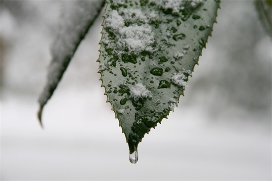 早晨话奋发向上太阳励志短语(早晨的太阳励志的句子)