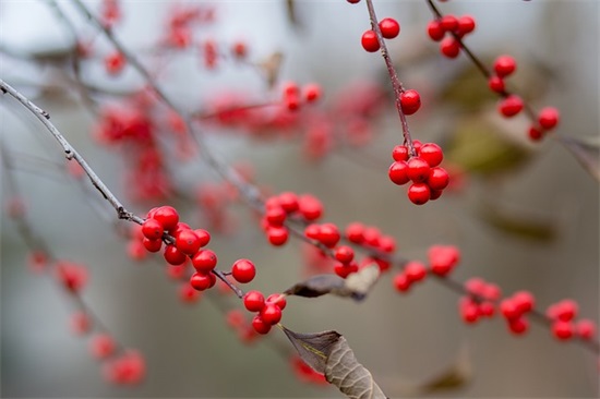 王姓男孩起名有寓意的名字大全