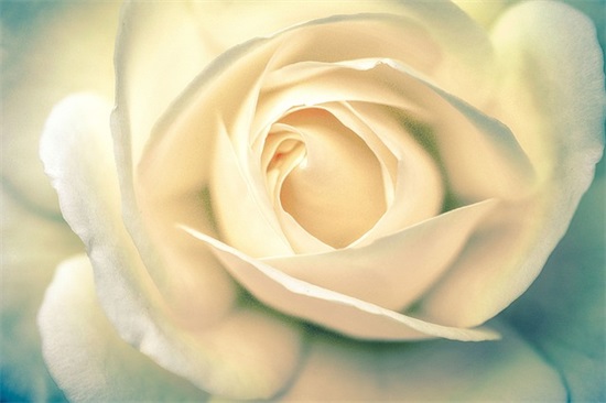 qq群名字大全青春可爱