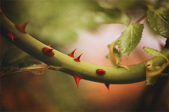 微信回忆网名繁体字