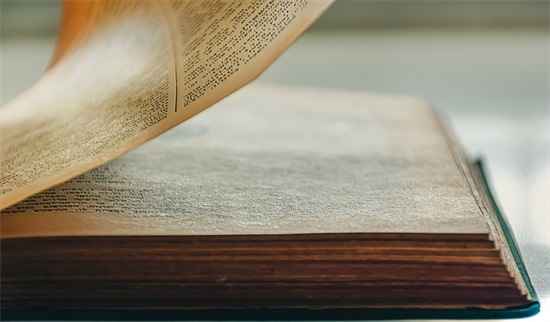 关于犯贱的句子