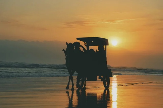 形容人胖的幽默句子