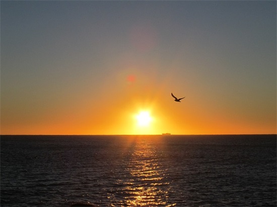 秋天果园的句子81句