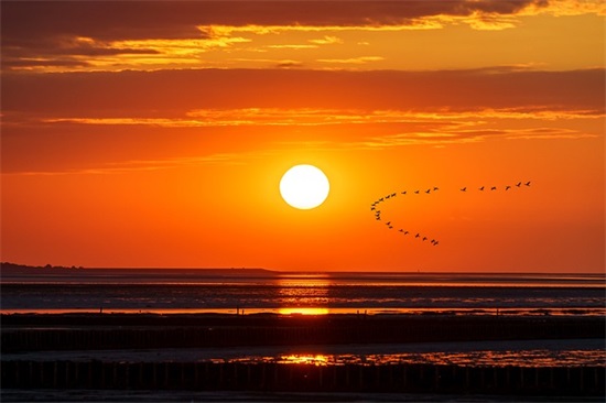 形容校园环境优美的句子汇总50条