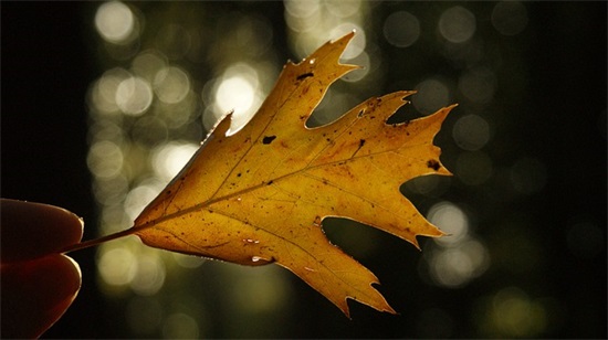 含有哲理的爱情说说