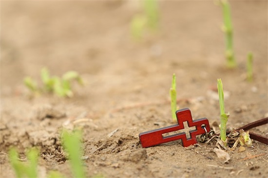 结婚邀请短句子(精华52句)