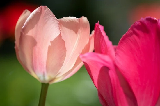 周末问候语简单幽默句子(锦集46句)